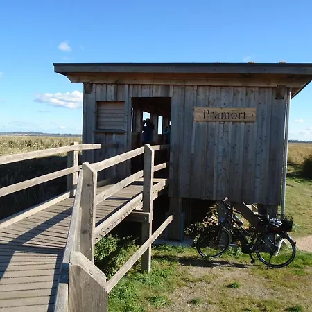 Lejlighed Komfortable In Zingst